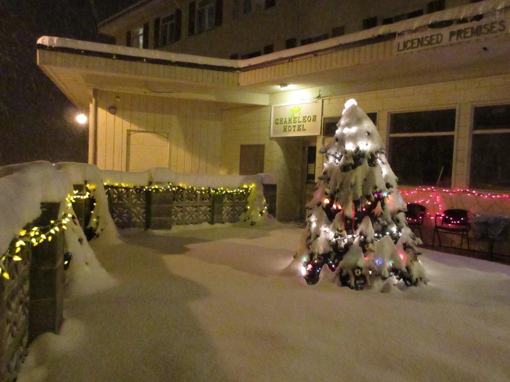 Chameleon Hotel Castlegar Exterior photo